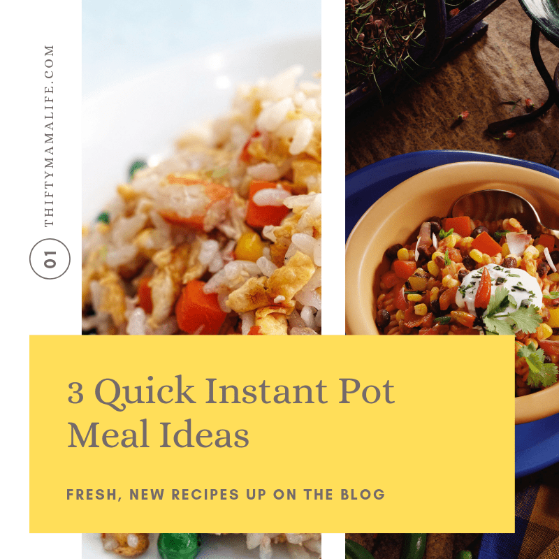 3 Quick Instant Pot Meal Ideas