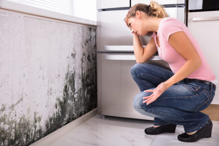 Health Hazards That Could Be Hiding in Your Kitchen