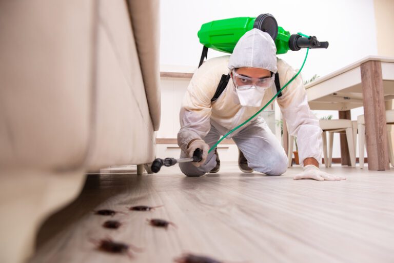 How to Keep Pests Away Without Chemicals