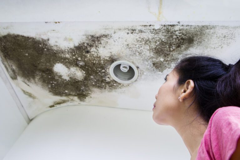 How to Prevent Leaks in Your Home