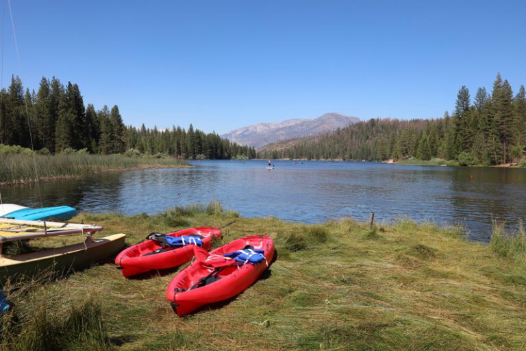 Outdoor Activities to Try With Your Kids