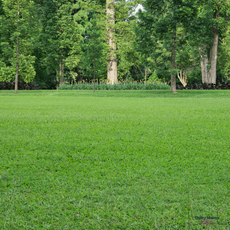 Economical and Multifunctional Mower